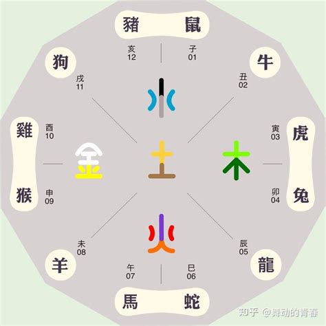 辰字五行|辰字五行中属什么